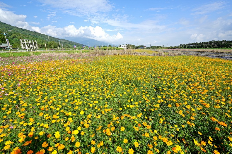DSC09002.JPG