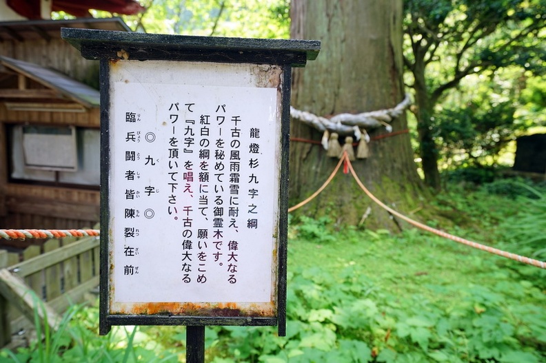 DSC03225.JPG