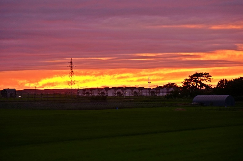 DSC04917.JPG