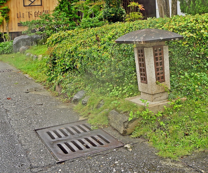 DSC01550.JPG