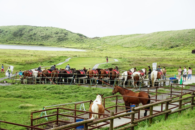 [日本-九州景點]阿蘇火山口 草千里一望無際草原山湖美景 還可以騎馬  重現進擊的巨人場景 阿蘇火山博物館