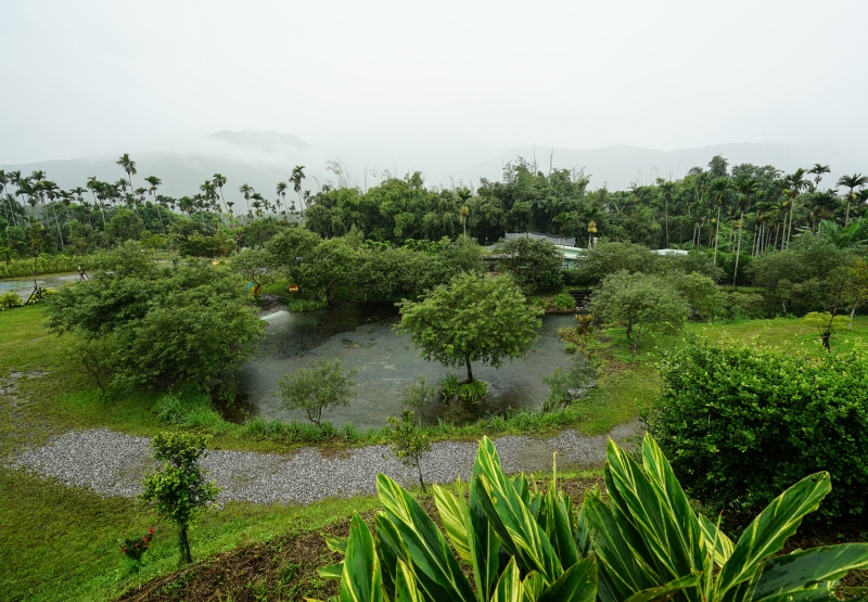 [花蓮景點]光復拉索埃湧泉生態園區-探索來自千年傳說的藍眼淚 機堡公園   手搖船一探湖中美景