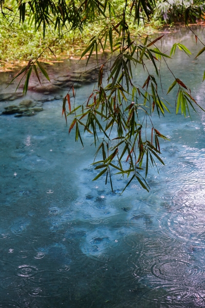 [花蓮景點]光復拉索埃湧泉生態園區-探索來自千年傳說的藍眼淚 機堡公園   手搖船一探湖中美景