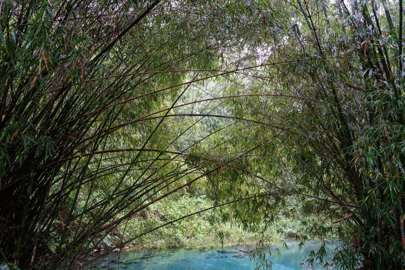 [花蓮景點]光復拉索埃湧泉生態園區-探索來自千年傳說的藍眼淚 機堡公園   手搖船一探湖中美景