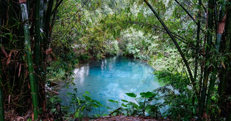 [花蓮景點]光復拉索埃湧泉生態園區-探索來自千年傳說的藍眼淚 機堡公園   手搖船一探湖中美景