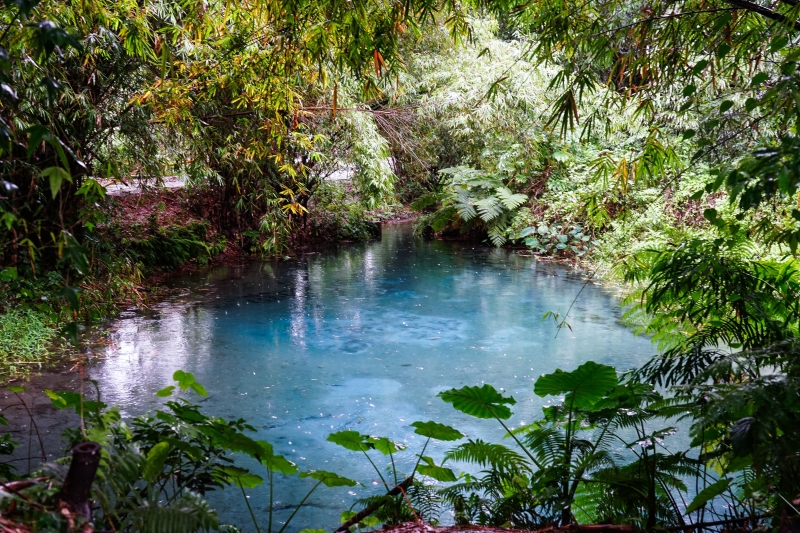 [花蓮景點]光復拉索埃湧泉生態園區-探索來自千年傳說的藍眼淚 機堡公園   手搖船一探湖中美景