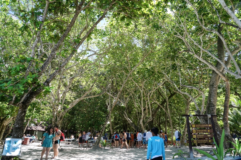 [泰國旅遊]斯米蘭群島-夢幻漸層湛藍無暇海洋，細粉純白沙灘，泰國跳島之旅，世界十大潛水勝地