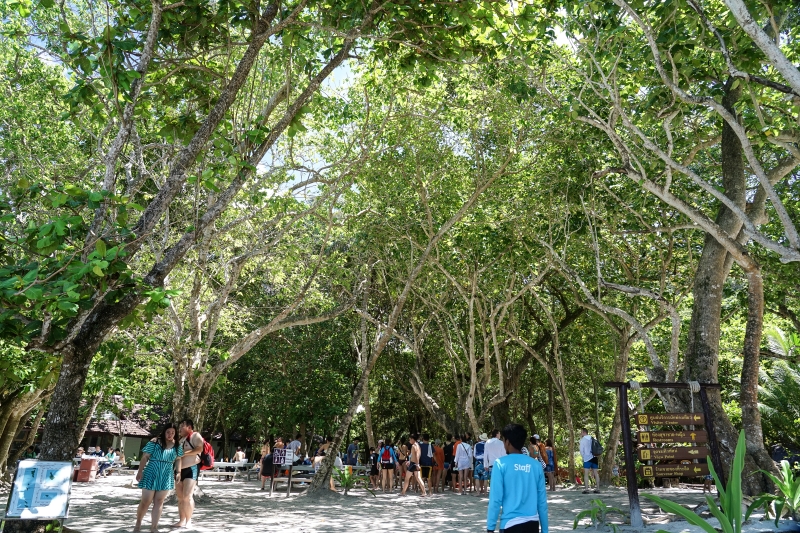 [泰國旅遊]斯米蘭群島-夢幻漸層湛藍無暇海洋，細粉純白沙灘，泰國跳島之旅，世界十大潛水勝地