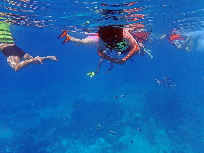 [泰國旅遊]斯米蘭群島-夢幻漸層湛藍無暇海洋，細粉純白沙灘，泰國跳島之旅，世界十大潛水勝地