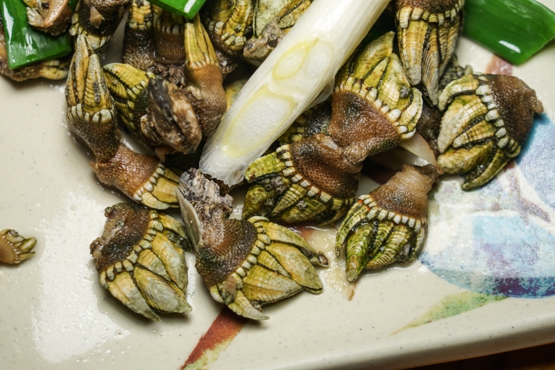 [馬祖南竿美食]蝦寮食堂- 老酒蝦 豆乳雞 佛手 淡菜  連在地人都愛的馬祖必吃美食