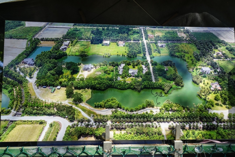 [花蓮景點]花蓮壽豐雲山水-落羽松美景  冬遊夢幻湖 靜謐的氣息令人久久不願離去