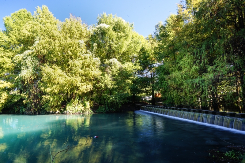 [花蓮景點]花蓮壽豐雲山水-落羽松美景  冬遊夢幻湖 靜謐的氣息令人久久不願離去