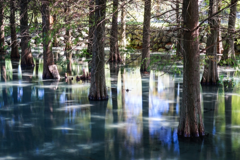 [花蓮景點]花蓮壽豐雲山水-落羽松美景  冬遊夢幻湖 靜謐的氣息令人久久不願離去