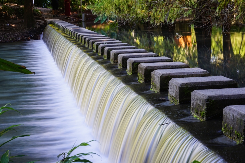 [花蓮景點]花蓮壽豐雲山水-落羽松美景  冬遊夢幻湖 靜謐的氣息令人久久不願離去