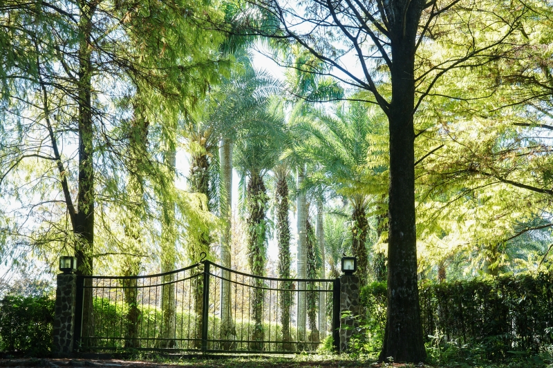 [花蓮景點]花蓮壽豐雲山水-落羽松美景  冬遊夢幻湖 靜謐的氣息令人久久不願離去