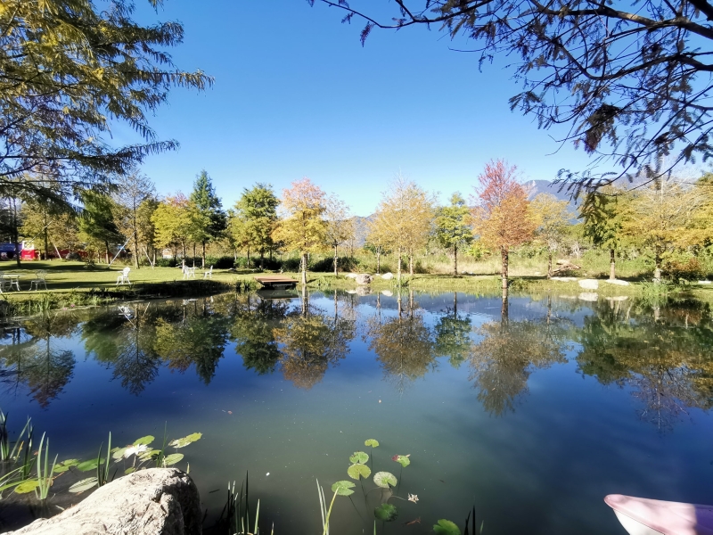 [花蓮景點]花蓮壽豐雲山水-落羽松美景  冬遊夢幻湖 靜謐的氣息令人久久不願離去