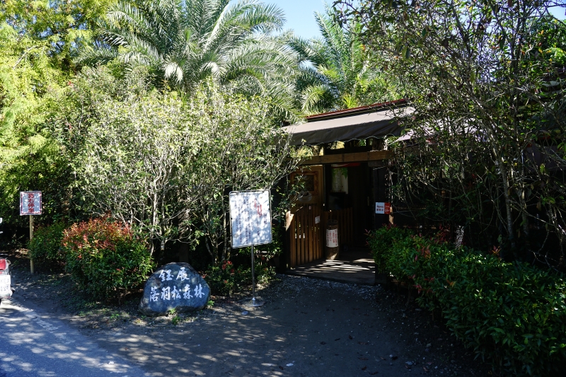 [ 20181203]鈺展苗圃-花蓮落羽松森林美景現況直播 花蓮壽豐景點 IG打卡拍照超美