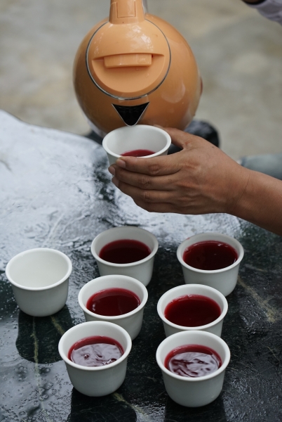 [桃園旅遊住宿]林園居民宿享用小農無菜單美食 還能享受挖地瓜農家趣 一級棒農場免費體驗撿雞蛋親子同樂 無農藥水野菜健康安心  桃園大園溪海休閒農業區