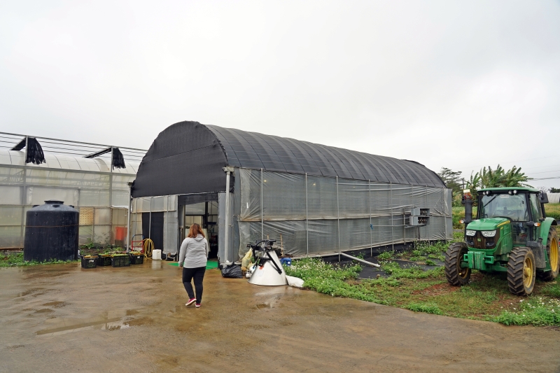 [桃園旅遊住宿]林園居民宿享用小農無菜單美食 還能享受挖地瓜農家趣 一級棒農場免費體驗撿雞蛋親子同樂 無農藥水野菜健康安心  桃園大園溪海休閒農業區