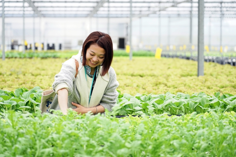 [桃園旅遊住宿]林園居民宿享用小農無菜單美食 還能享受挖地瓜農家趣 一級棒農場免費體驗撿雞蛋親子同樂 無農藥水野菜健康安心  桃園大園溪海休閒農業區