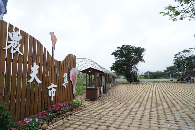 [桃園旅遊住宿]林園居民宿享用小農無菜單美食 還能享受挖地瓜農家趣 一級棒農場免費體驗撿雞蛋親子同樂 無農藥水野菜健康安心  桃園大園溪海休閒農業區