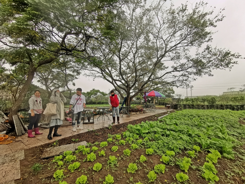 [桃園旅遊住宿]林園居民宿享用小農無菜單美食 還能享受挖地瓜農家趣 一級棒農場免費體驗撿雞蛋親子同樂 無農藥水野菜健康安心  桃園大園溪海休閒農業區