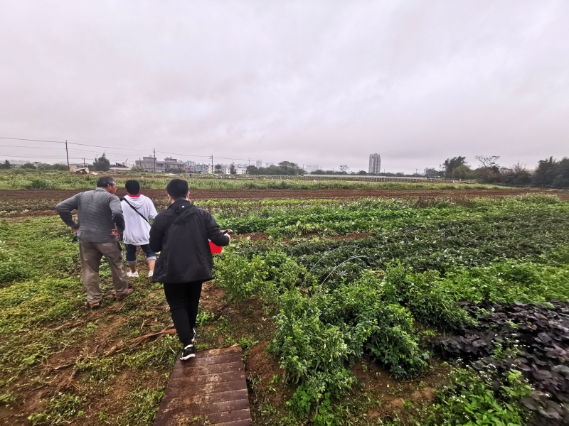 [桃園旅遊住宿]林園居民宿享用小農無菜單美食 還能享受挖地瓜農家趣 一級棒農場免費體驗撿雞蛋親子同樂 無農藥水野菜健康安心  桃園大園溪海休閒農業區