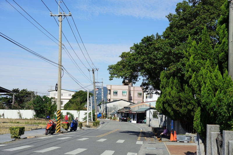 [台中后里景點]泰安落羽松 水面倒影IG網美必打卡 地方不大就是了 20181214落羽松現況直播