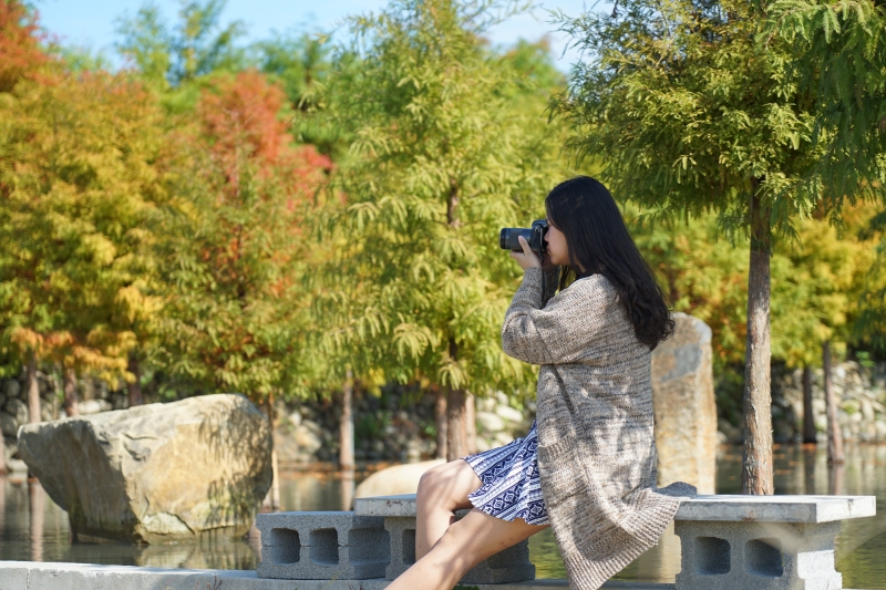 [台中后里景點]泰安落羽松 水面倒影IG網美必打卡 地方不大就是了 20181214落羽松現況直播