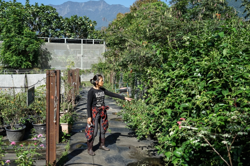 [ 花蓮免費景點]台灣最大蝴蝶生態館-亞泥生態園區   三大園區二個主題館 預約專人導覽 親子旅遊可安排在太魯閣一日遊 花蓮旅遊景點推薦