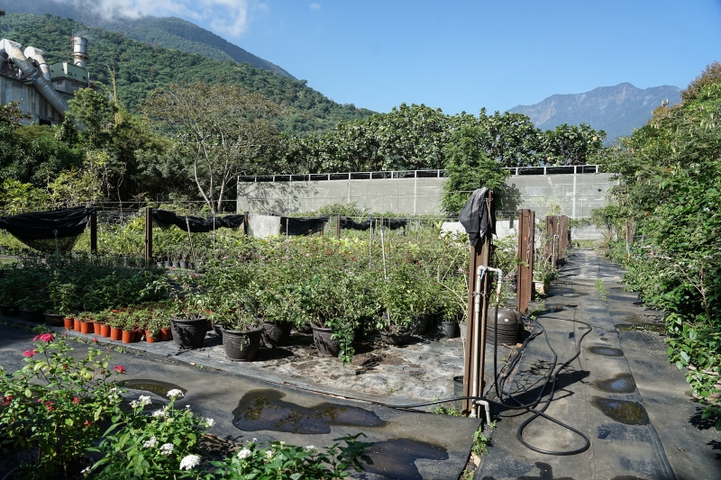 [ 花蓮免費景點]台灣最大蝴蝶生態館-亞泥生態園區   三大園區二個主題館 預約專人導覽 親子旅遊可安排在太魯閣一日遊 花蓮旅遊景點推薦