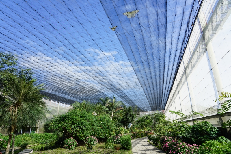 [ 花蓮免費景點]台灣最大蝴蝶生態館-亞泥生態園區   三大園區二個主題館 預約專人導覽 親子旅遊可安排在太魯閣一日遊 花蓮旅遊景點推薦