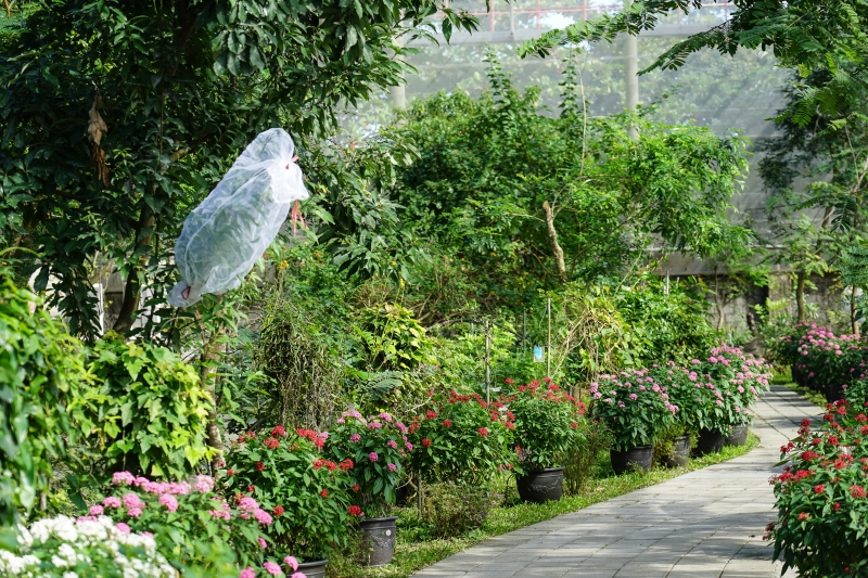 [ 花蓮免費景點]台灣最大蝴蝶生態館-亞泥生態園區   三大園區二個主題館 預約專人導覽 親子旅遊可安排在太魯閣一日遊 花蓮旅遊景點推薦