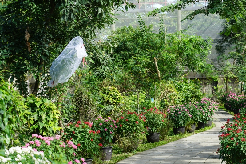 [ 花蓮免費景點]台灣最大蝴蝶生態館-亞泥生態園區   三大園區二個主題館 預約專人導覽 親子旅遊可安排在太魯閣一日遊 花蓮旅遊景點推薦