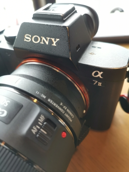 [影片/不專業評測]SONY a7ii大光圈鏡頭解決方案  轉接canon 窮人神鏡 50mmF1.8 stm 對焦速度完全可用 Sigma MC-11轉接環