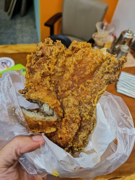 [花蓮美食]樹下吃雞- 今晚來個啤酒孜然雞腿排吧 花蓮市宵夜鹹酥雞