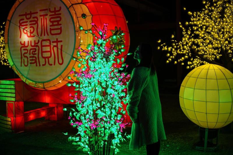 [花蓮過年活動]2019花蓮太平洋燈會 花蓮山豬陪你過好年 璀璨水舞真人舞蹈 過年IG打卡熱點 必拍燈海隧道  東大門夜市 有得看又有得吃唷!