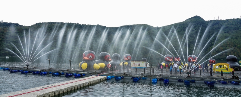 [花蓮過年活動]2019花蓮太平洋燈會 花蓮山豬陪你過好年 璀璨水舞真人舞蹈 過年IG打卡熱點 必拍燈海隧道  東大門夜市 有得看又有得吃唷!