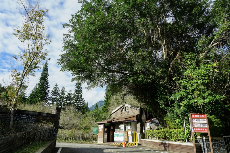 [花蓮旅遊景點推薦]充滿芬多精的森林步道小火車 親子出遊好去處  花蓮壽豐景點推薦-池南國家森林遊樂區