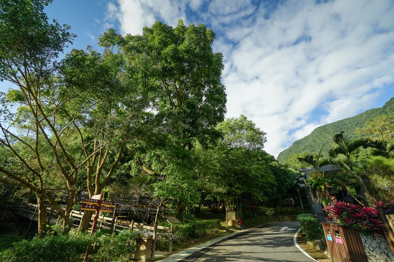 [花蓮旅遊景點推薦]充滿芬多精的森林步道小火車 親子出遊好去處  花蓮壽豐景點推薦-池南國家森林遊樂區