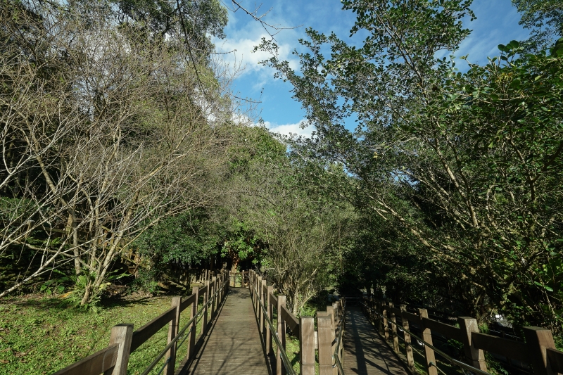 [花蓮旅遊景點推薦]充滿芬多精的森林步道小火車 親子出遊好去處  花蓮壽豐景點推薦-池南國家森林遊樂區