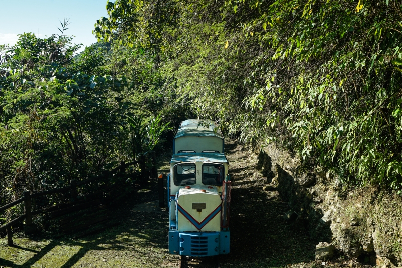 [花蓮旅遊景點推薦]充滿芬多精的森林步道小火車 親子出遊好去處  花蓮壽豐景點推薦-池南國家森林遊樂區