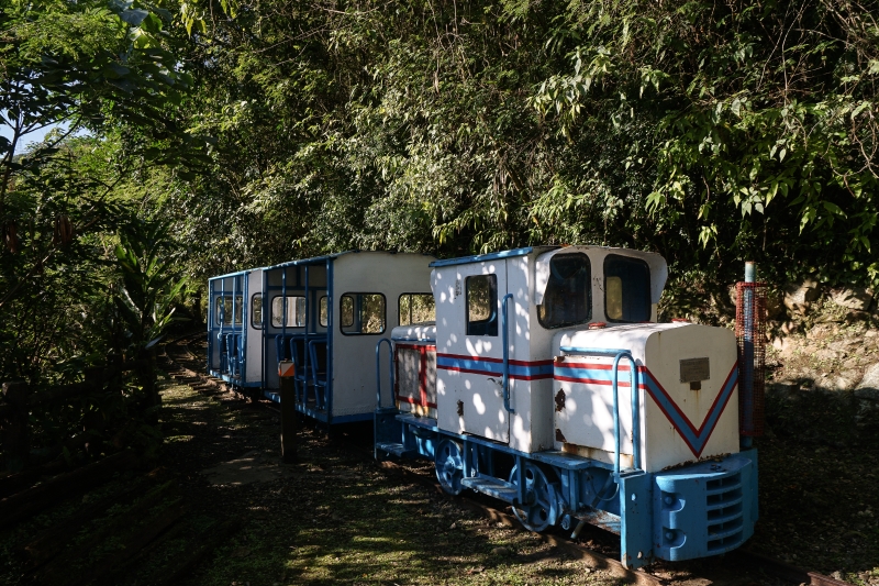 [花蓮旅遊景點推薦]充滿芬多精的森林步道小火車 親子出遊好去處  花蓮壽豐景點推薦-池南國家森林遊樂區