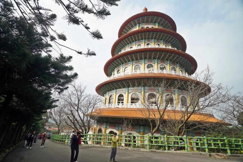 [台北淡水旅遊景點]淡水天元宮後山三色櫻花盛開(20190203) 台北賞櫻看花景點推薦