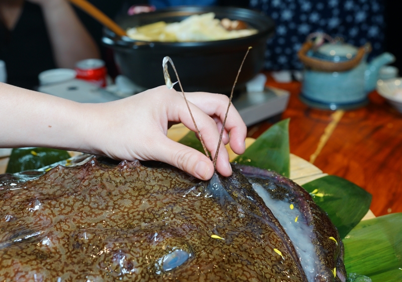 這間中壢無菜單料理C/P值超高!! 880元居然有鮟鱇魚火鍋  地震魚 波士頓龍蝦痛風鍋 黑鮪魚生魚片 還附設停車場-武田信玄日式料理 中壢美食推薦  桃園無菜單料理推薦