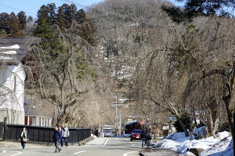 [日本秋田旅遊]宅男終於實現夢想 帶和服正妹一遊奧州小京都 首次和服體驗  原來當個武士這麼爽 -角館武家屋敷青柳家