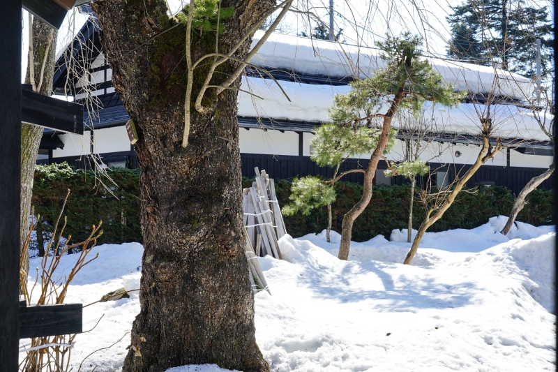 [日本秋田旅遊]宅男終於實現夢想 帶和服正妹一遊奧州小京都 首次和服體驗  原來當個武士這麼爽 -角館武家屋敷青柳家