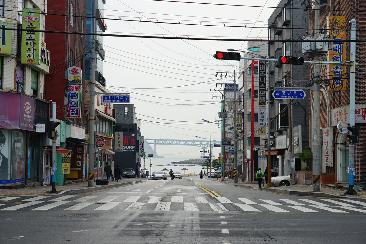 [韓國釜山賞櫻景點]南川洞櫻花路大道 櫻花滿開美到炸 讓我看得大呼過癮 鄰近廣安里海水浴場 金蓮山地鐵站