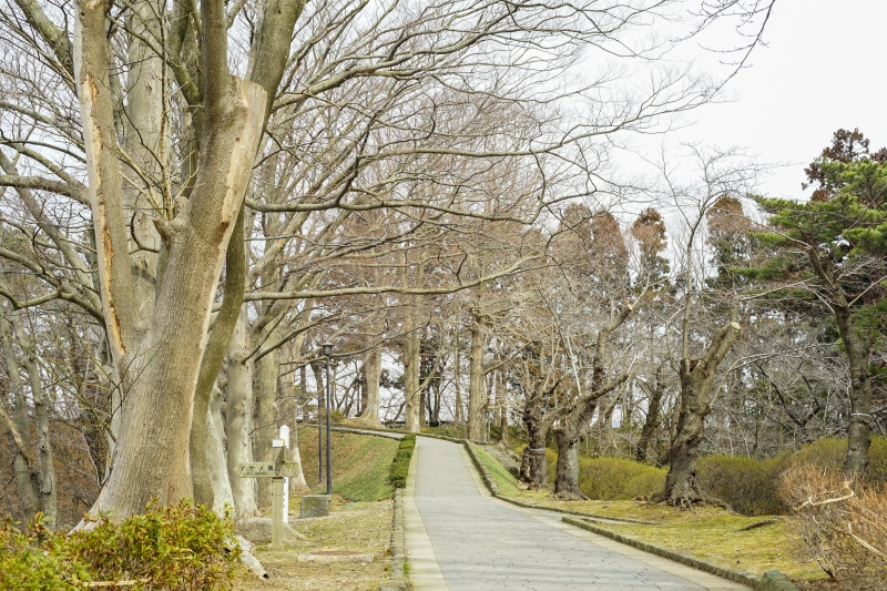 [日本秋田景點]千秋公園-賞楓櫻花景點 還可以外拍藝妓 超獨特體驗