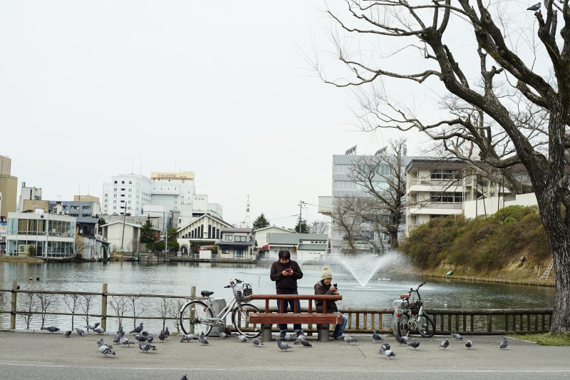 [日本秋田景點]千秋公園-賞楓櫻花景點 還可以外拍藝妓 超獨特體驗